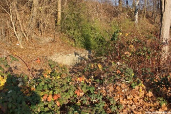 Position von Friedrich Wilhlem Luftschacht in 2012
