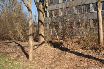 Position von Am Schwaben Luftschacht in 2025