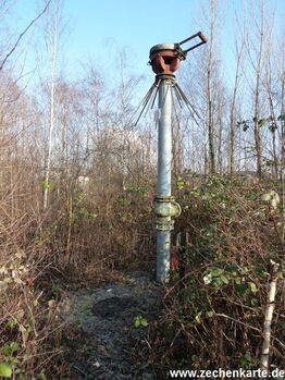 Protegohaube von Alma Schacht 4 in 2013