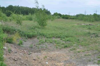 Position von Scharnhorst Schacht 1 in 2011