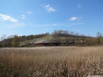 Südostseite der Halde Graf Moltke in 2013