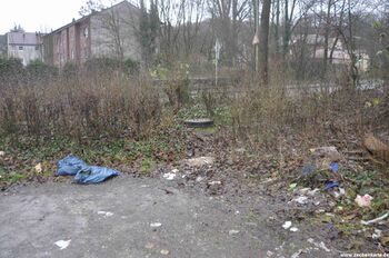 Vereinigte Hamburg Schacht Wilhelm