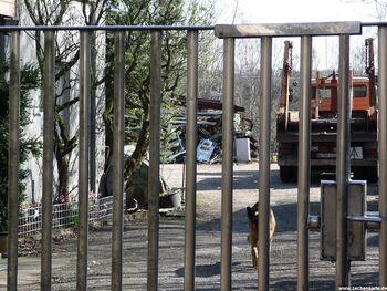 Gelände von Dannenbaum Schacht 2 in 2011