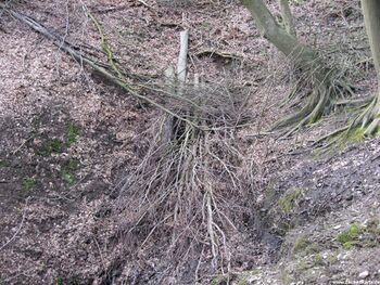 Stollenmundloch vom Baldeneyer Erbstollen in 2010