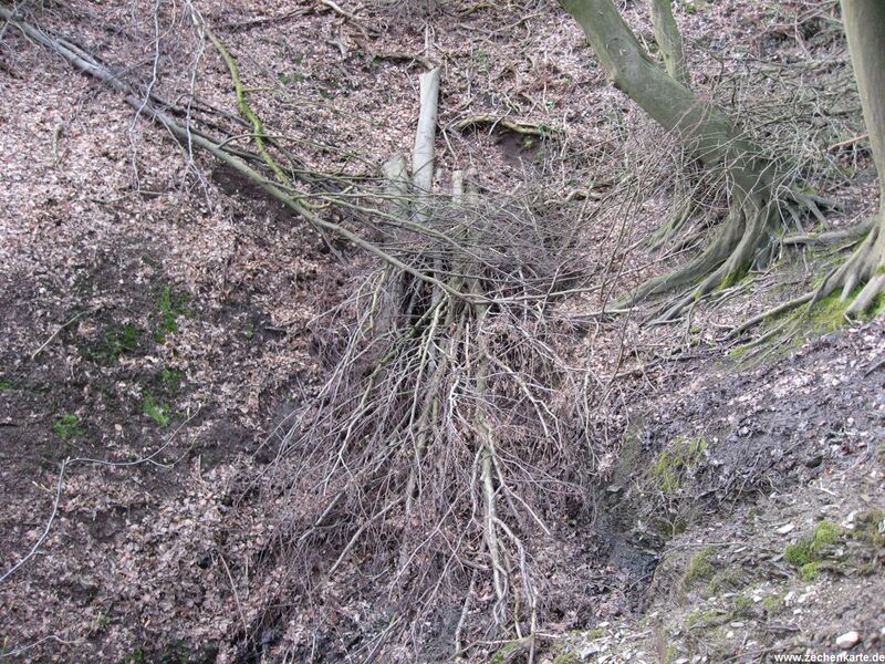 Datei:Baldeneyer Erbstollen 1003270003.JPG