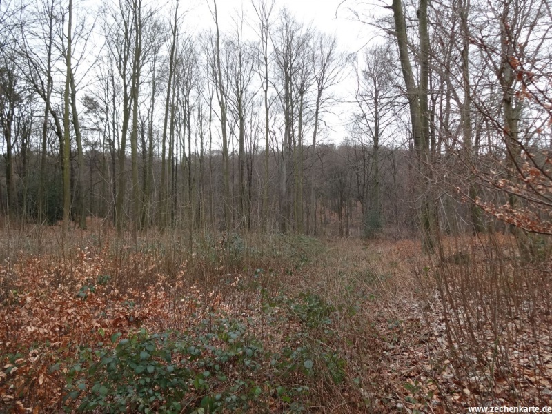 Datei:Gottessegen 3.JPG