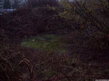 Schachtdeckel von Mansfeld Schacht 3 in 2011